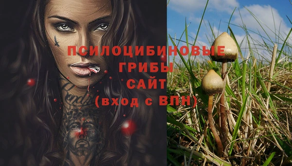 сатива Верхнеуральск